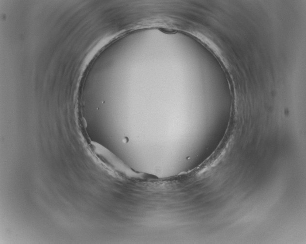 X0000069830949200606021333