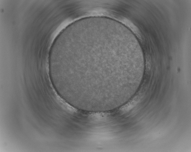 X0000069830950200606021333