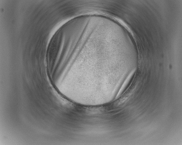 X0000069830951200606021333