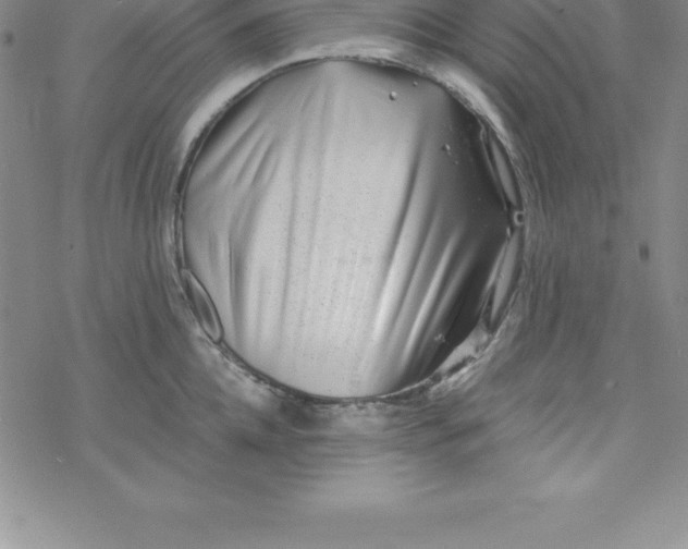 X0000069830952200606021333