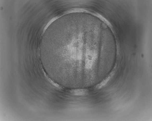 X0000069830953200606021333