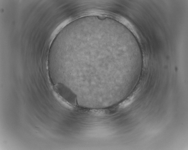 X0000069830954200606021333