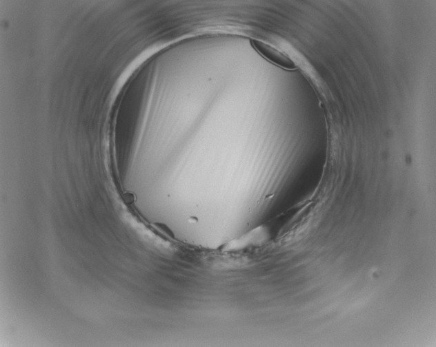 X0000069830955200606021333