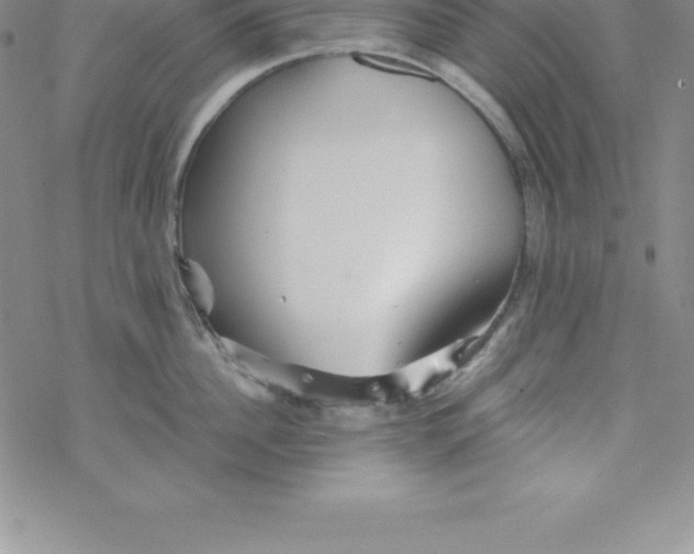 X0000069830956200606021333