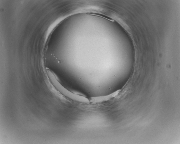 X0000069830960200606021333