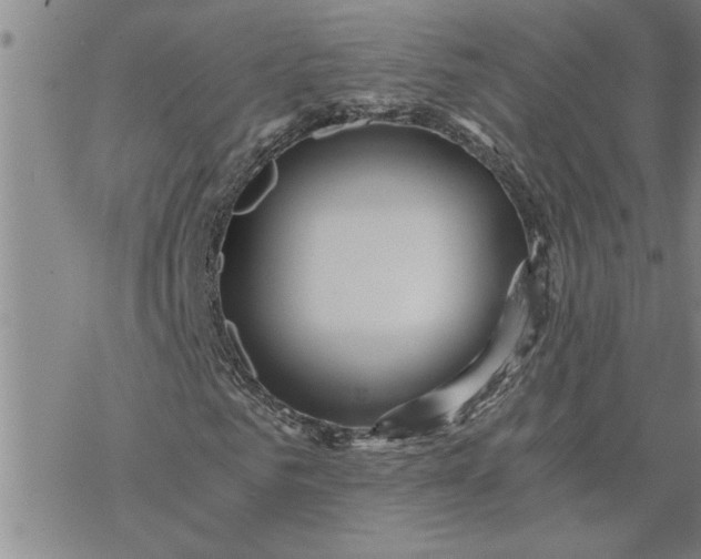 X0000069830961200606021332