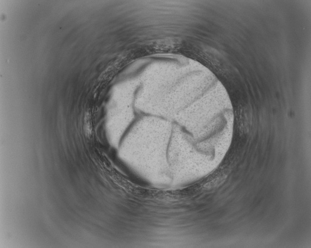 X0000069830962200606021332