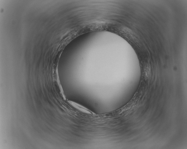 X0000069830964200606021332