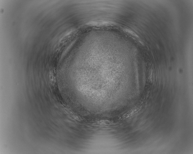 X0000069830966200606021332