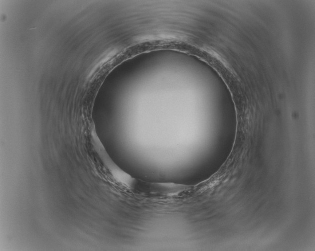 X0000069830967200606021332