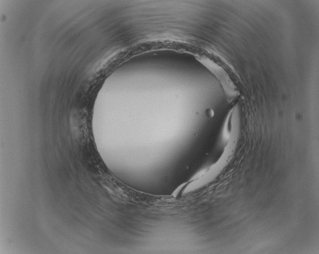 X0000069830968200606021332