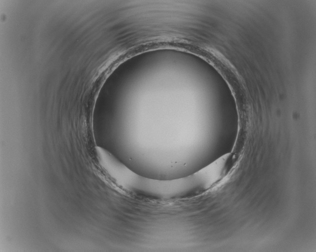 X0000069830969200606021332