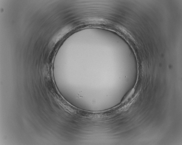 X0000069830970200606021332