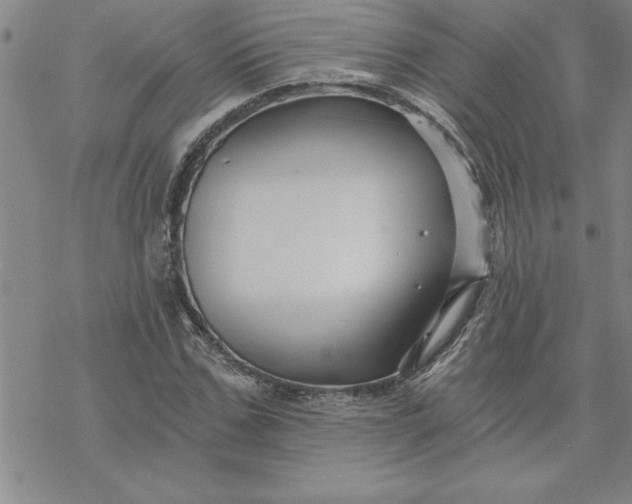 X0000069830971200606021332