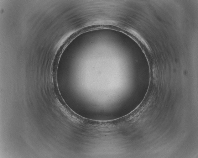 X0000069830972200606021332