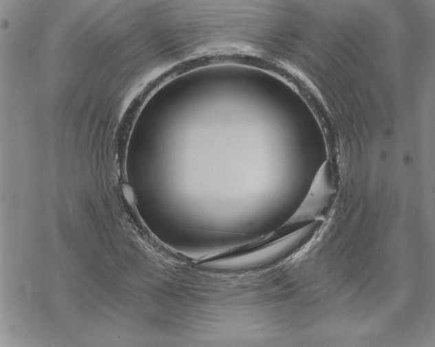 X0000069830973200606021332