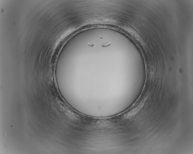 X0000069830974200606021332