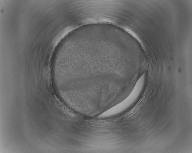 X0000069830975200606021332