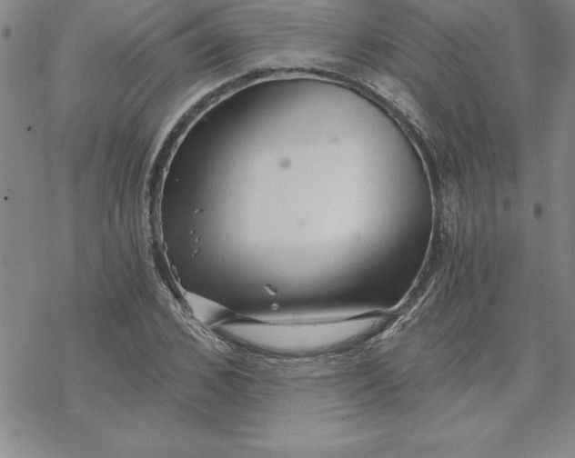 X0000069830976200606021332