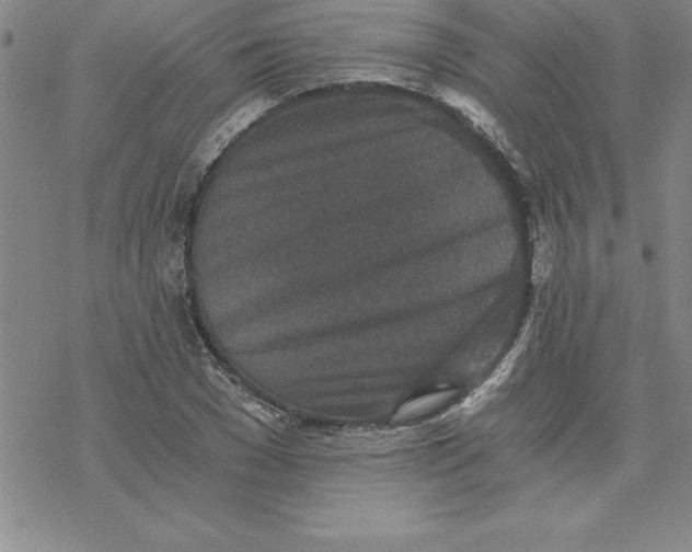 X0000069830977200606021332