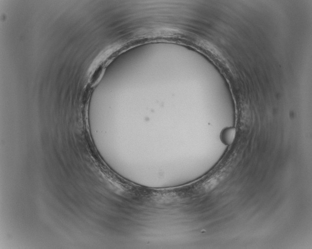 X0000069830978200606021332