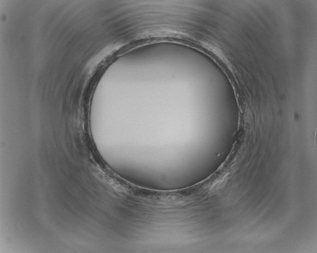 X0000069830979200606021332