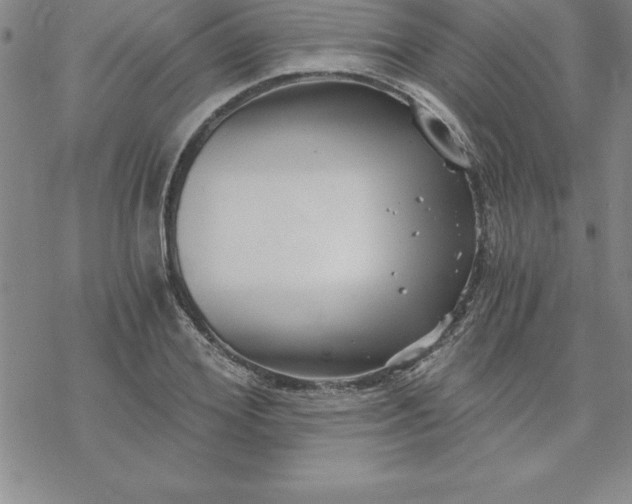 X0000069830980200606021332