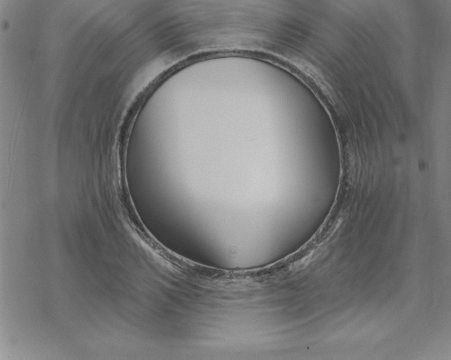 X0000069830982200606021332