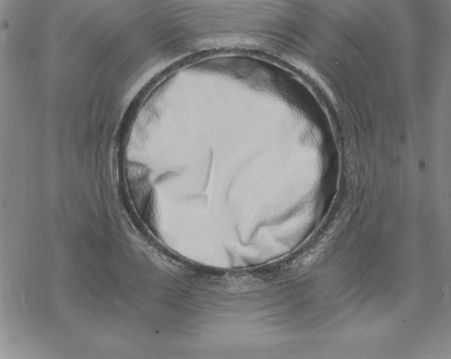 X0000069830983200606021332