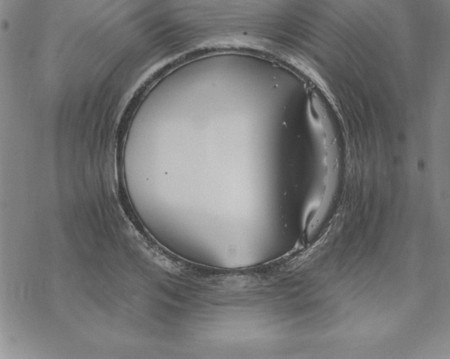 X0000069830984200606021332