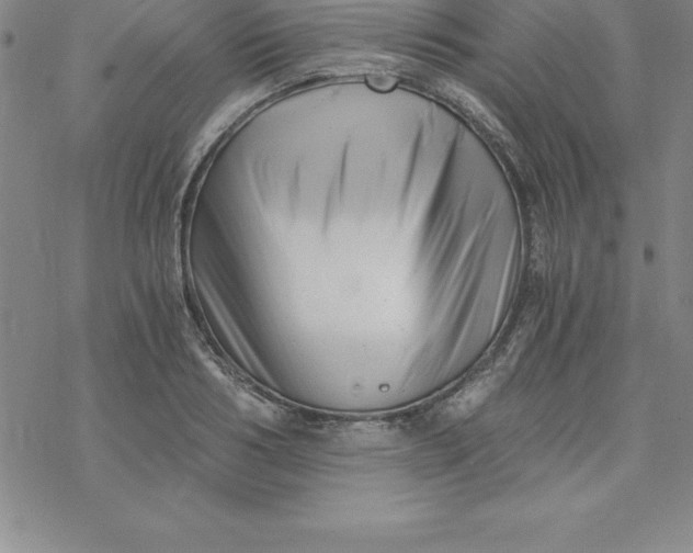 X0000069830986200606021332