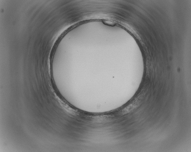 X0000069830988200606021332