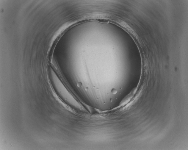 X0000069830989200606021332