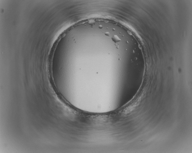 X0000069830991200606021332