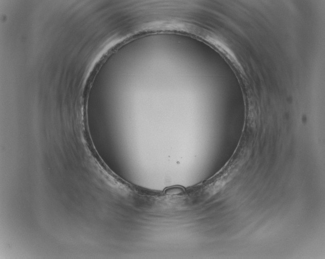 X0000069830992200606021332