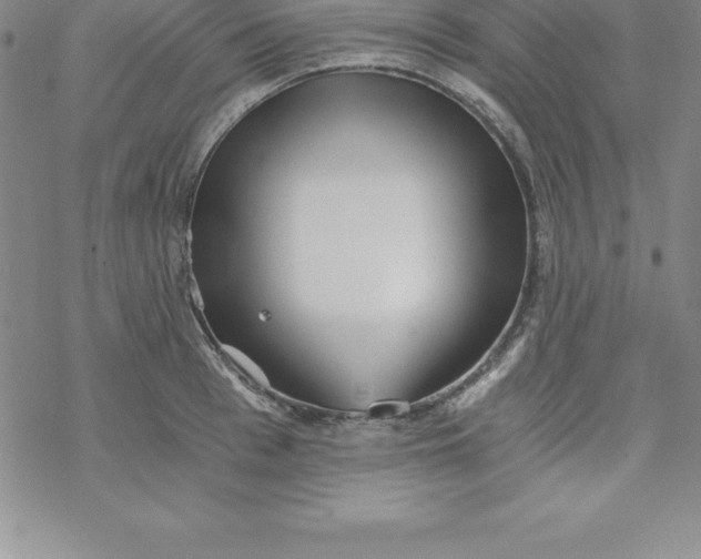 X0000069830993200606021332