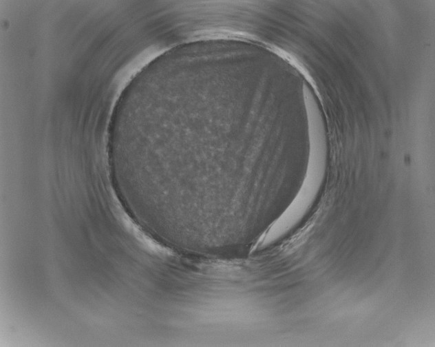 X0000069830995200606021332