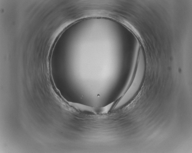 X0000069830996200606021332