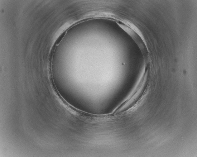 X0000069830997200606021332