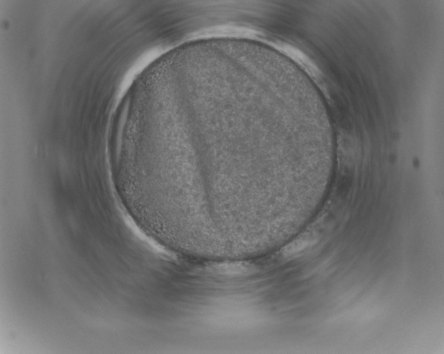 X0000069830998200606021332