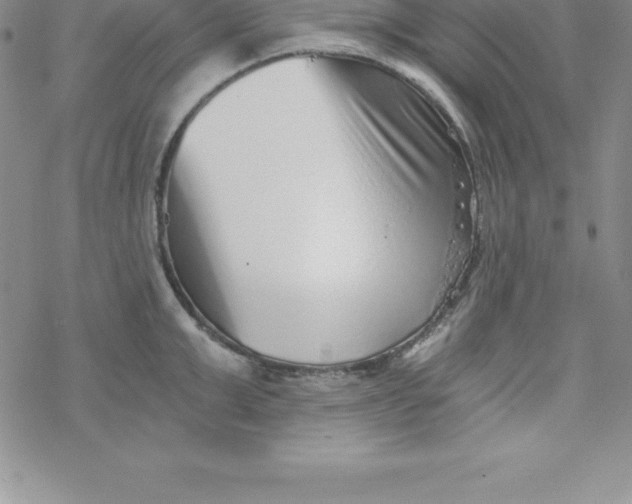 X0000069830999200606021332