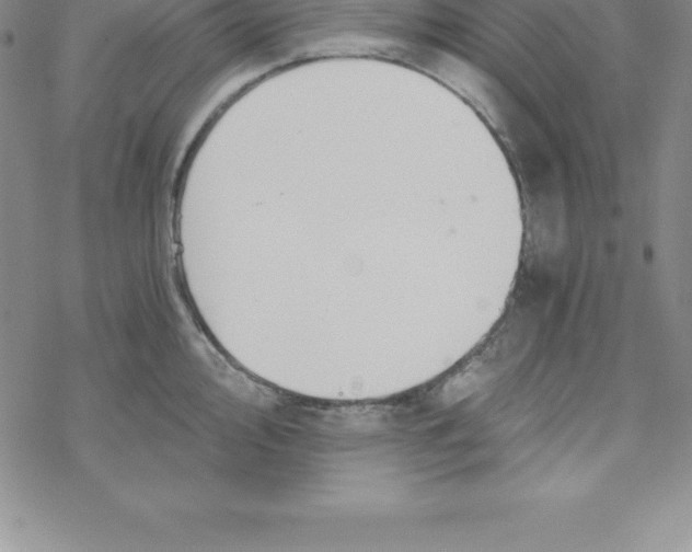 X0000069831000200606021332