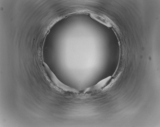 X0000069831001200606021332