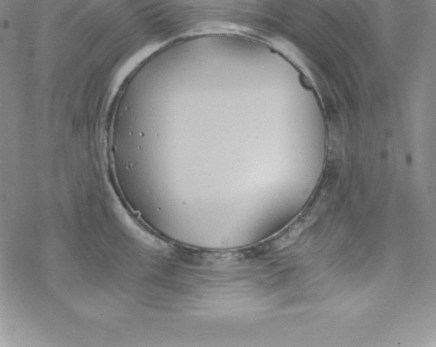 X0000069831003200606021332