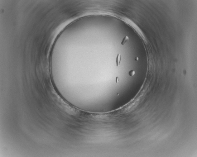 X0000069831004200606021332