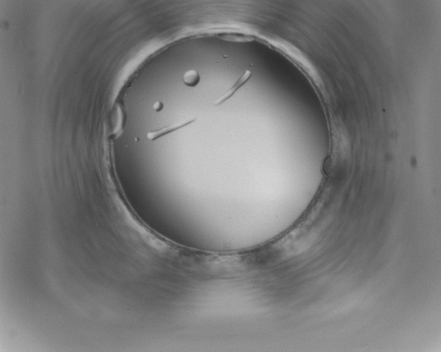 X0000069831006200606021332