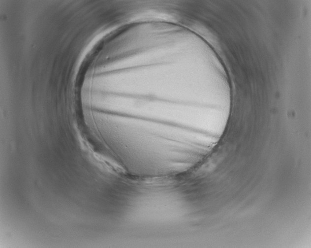 X0000069831008200606021332