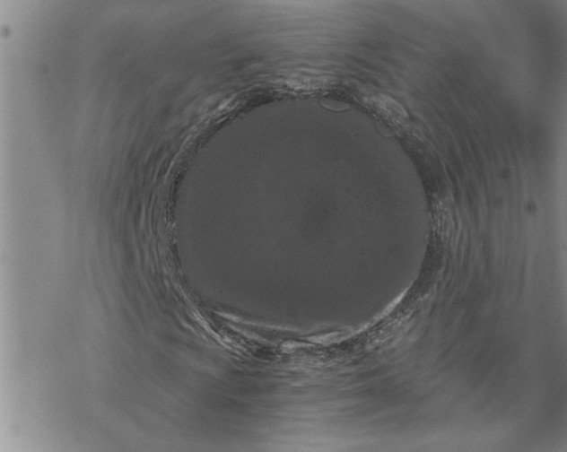 X0000069831009200606021331