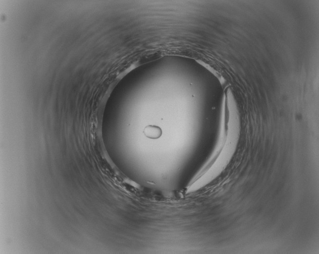 X0000069831010200606021331