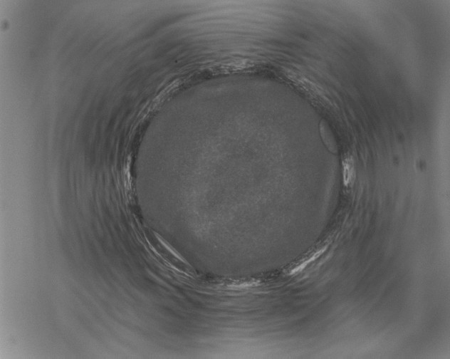 X0000069831011200606021331